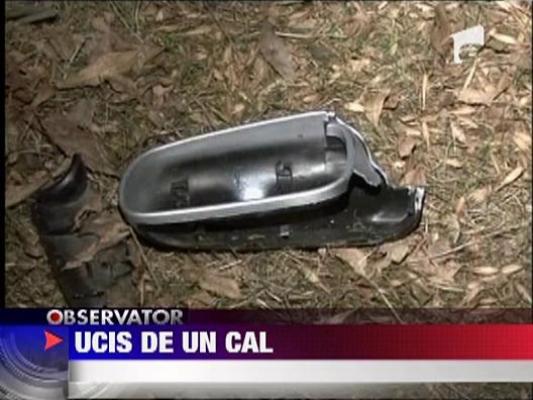 Ucis de un cal