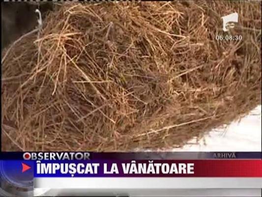 Impuscat la vanatoare