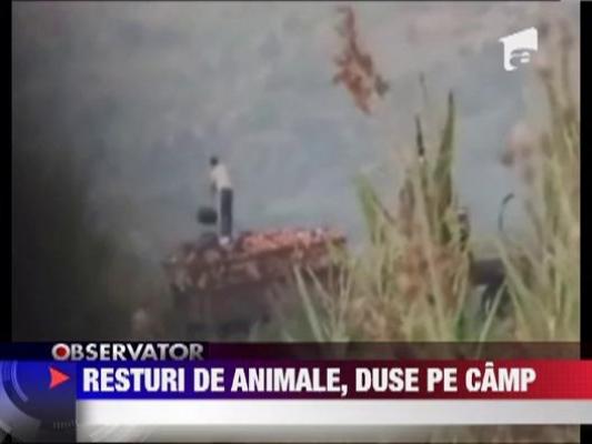 Tone de lesuri aruncate in camp