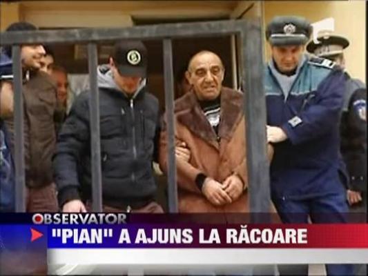 Interlopul "Pian" a ajuns la racoare