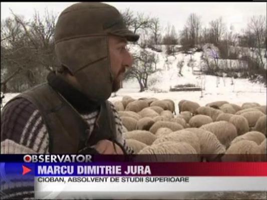 Filozof cu facultate si cioban in tara Momarlanilor