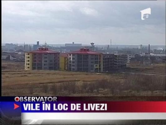 Livezile din jurul Oradei produc vile si case in loc de fructe