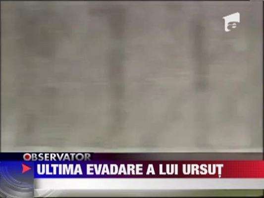 Ioan Ursut, principalul suspect in cazul jafului secolului, s-a sinucis