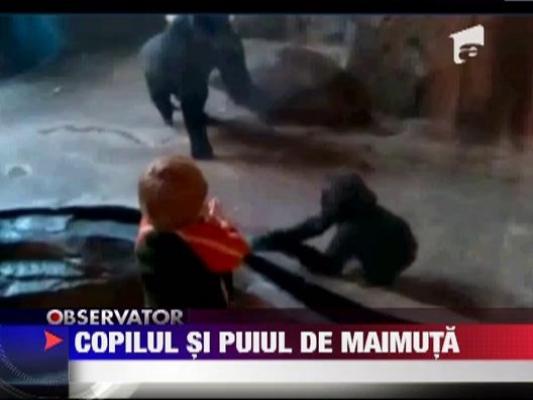 Partener de joaca inedit