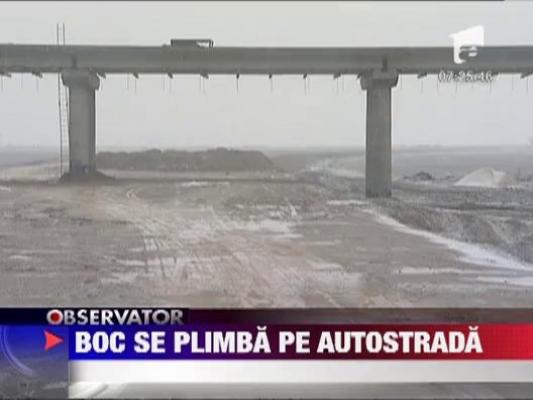 Emil Boc, in vizita pe Autostrada Bucuresti-Ploiesti