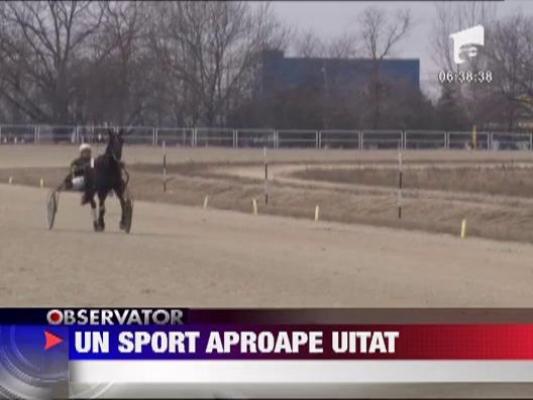 Hipismul nu a disparut