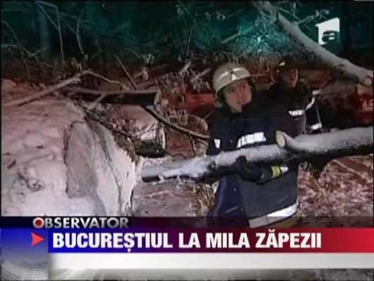 Bucurestiul, sub stapanirea zapezii!