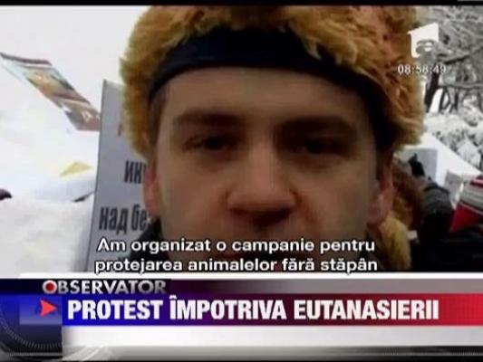 Protest impotriva eutanasierii