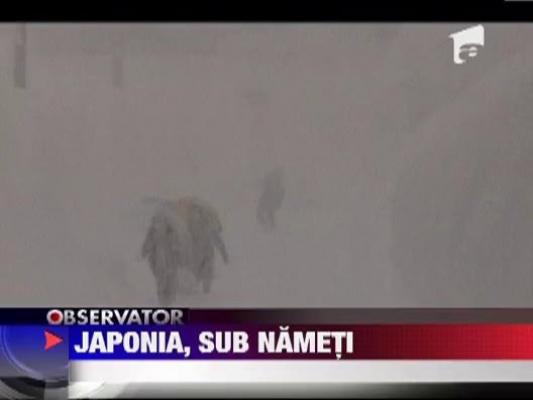 Japonia, sub nameti