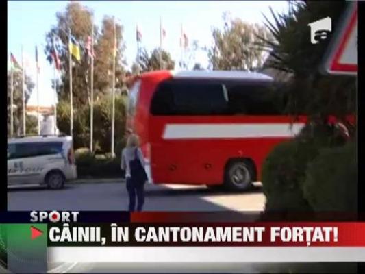 Dinamovistii au avut parte numai de suparari in Turcia