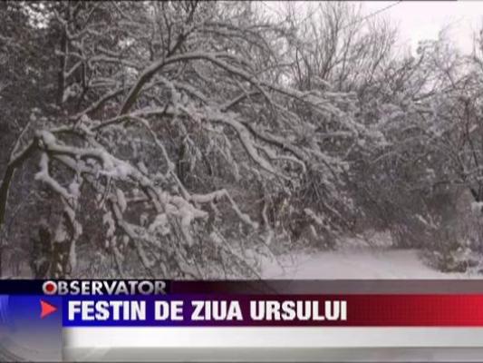 Festin pentru animale de Ziua Ursului