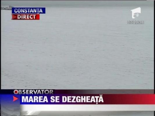 Marea se dezgheata