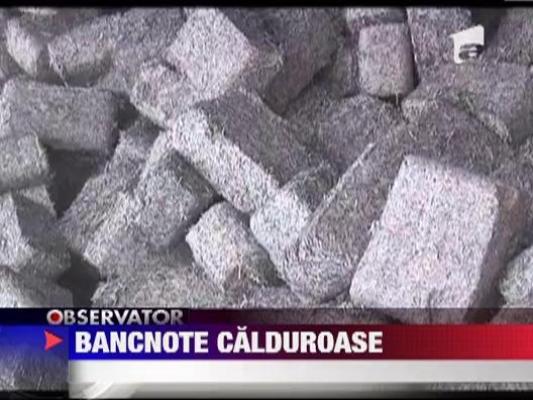 Ungurii se incalzesc aruncand miliarde de forinti pe foc ‎