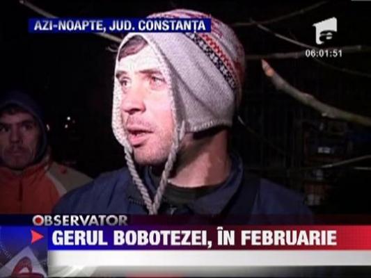 Gerul Bobotezei, in februarie