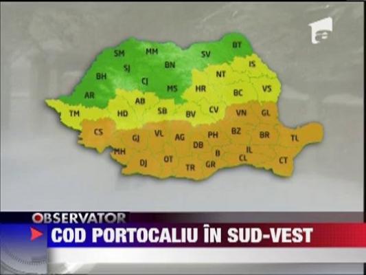 Cod portocaliu de ninsori in sud -vest
