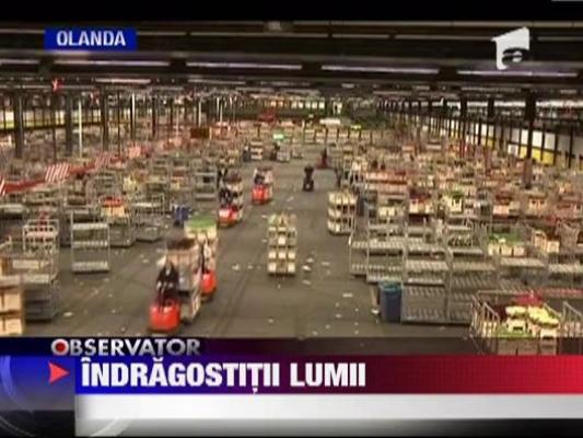 Valentine's Day in lume