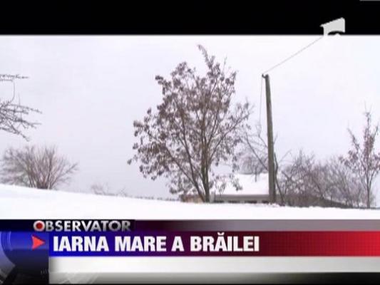 Insula Mare a Brailei este complet izolata!