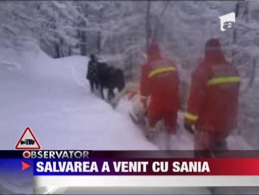 Traiesete datorita unei sanii trase de un cal