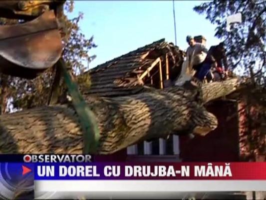 Dorel a daramat casa unei femei