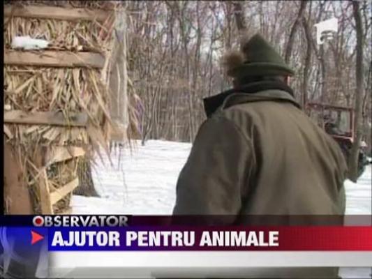 Observator 13 Weekend