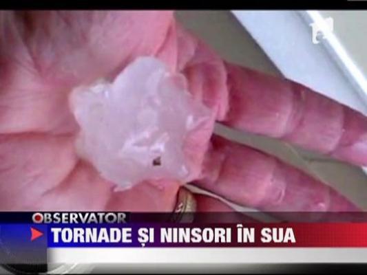 Tornade si ninsori in SUA