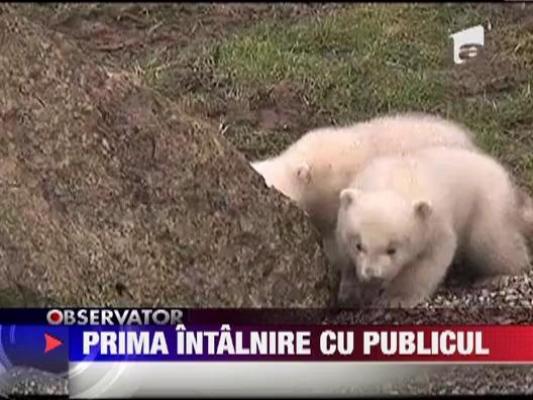 Pui de urs polar, pentru prima oara in exterior