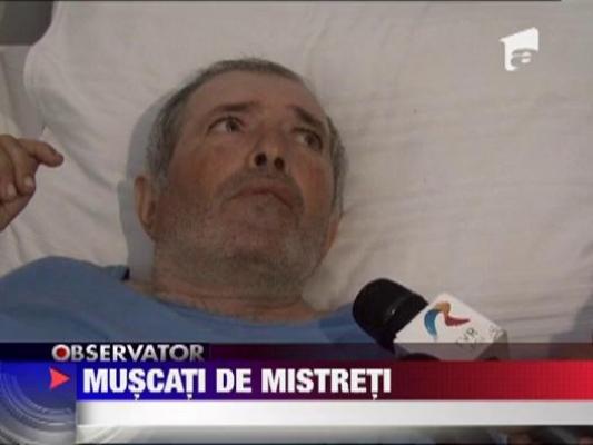 Muscati de mistreti