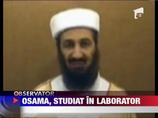 Osama, studiat in laborator