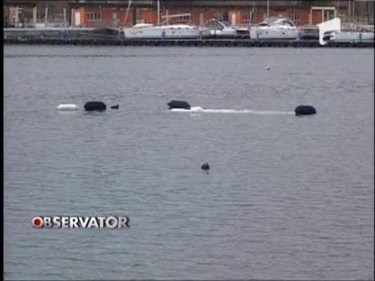 Vantul puternic a facut ravagii  in zona Dobrogei