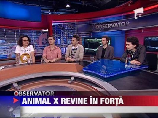 Animal X revine cu un nou videoclip!