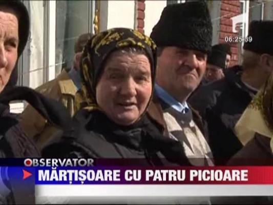 Martisor cu patru picioare