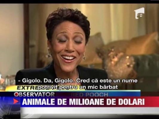 Animale de milioane de dolari