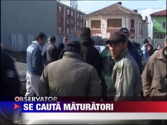 Concurenta mare pentru postul de maturator