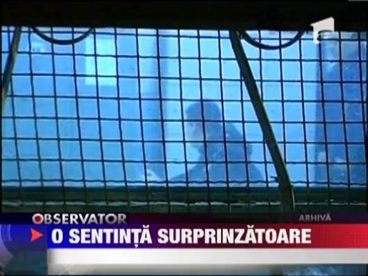 Sentinta surprinzatoare in cazul jafului de la o banca din Cluj