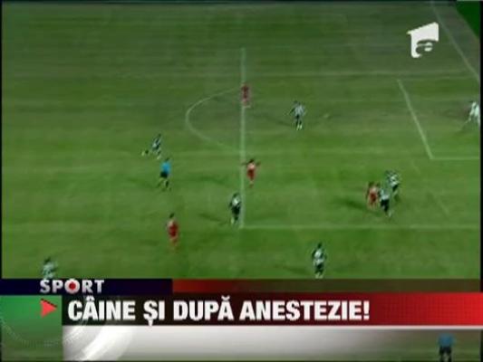 Cristi Borcea nu a avut voie sa vada meciul