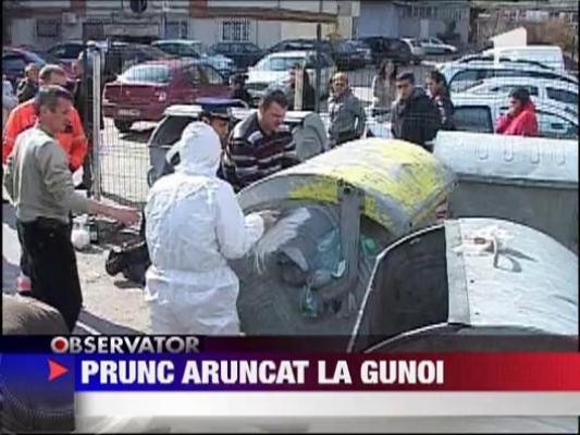 Prunc aruncat la gunoi