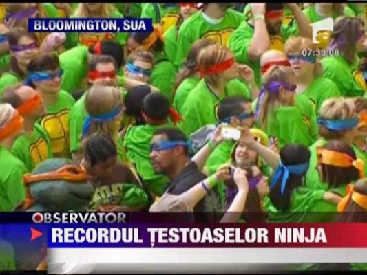 Recordul Testoaselor Ninja