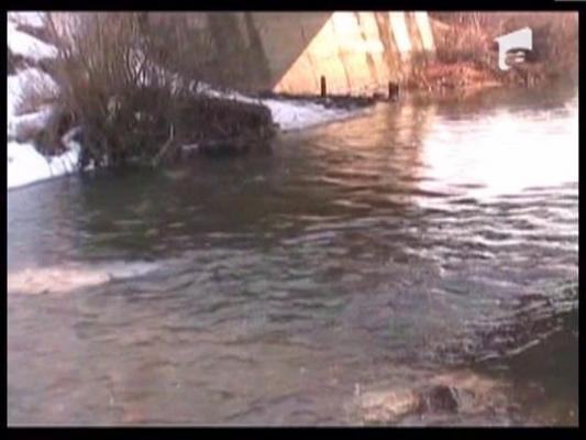 Zeci de pesti au fost gasiti morti intr-un parau din Bistrita