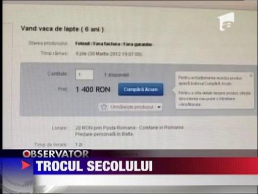 Un barbat din Gorj si-a scos vaca la vanzare pe internet
