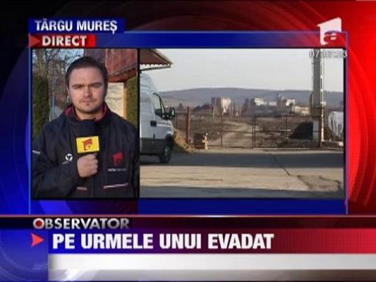 Detinut evadat de la Penitenciarul din Targu Mures