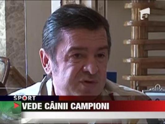 Dorin Mateut e convins ca 2012 e anul cainelui