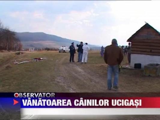 Vanatoarea cainilor ucigasi