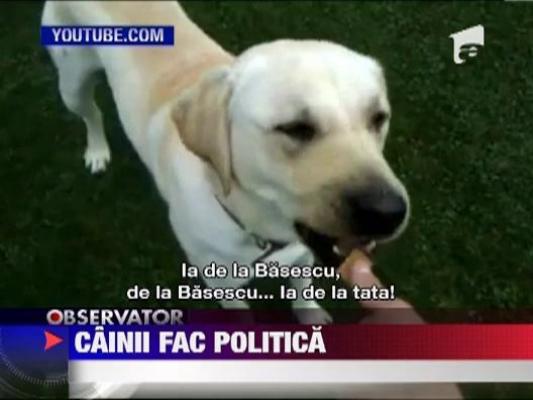 Si cainii fac politica
