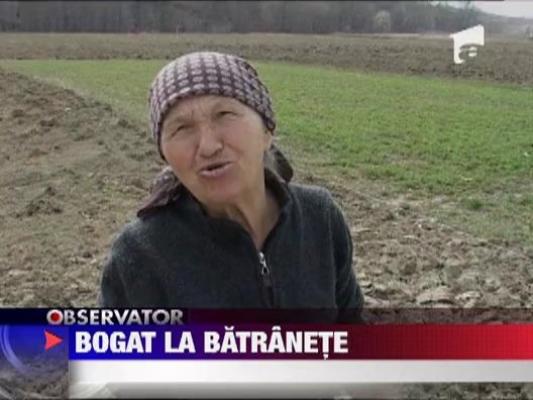 Bogat la batranete