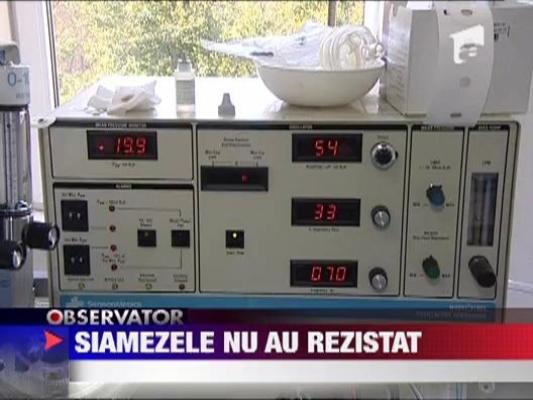 Siamezele nascute anul trecut, de Craciun, au murit