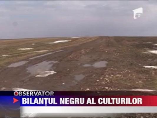 350 de mii de hectare de culturi agricole au fost distruse
