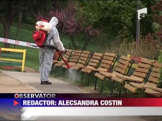 Autoritatile au inceput operatiunea de exterminare a capuselor