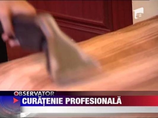 Curatenie profesionala