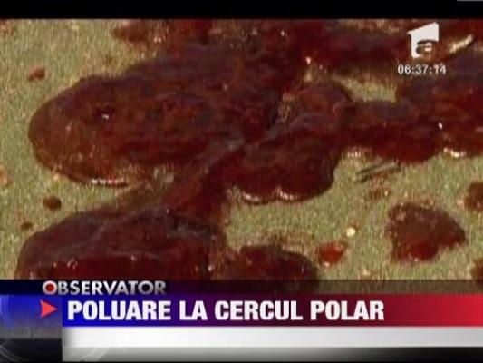 Accident ecologic la Cercul Polar de Nord