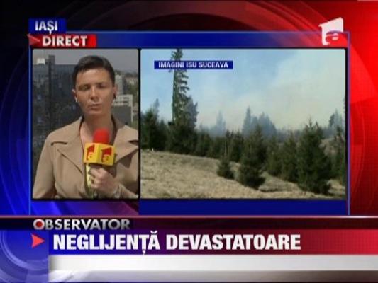 UPDATE / Incendiu de vegetatie in Suceava